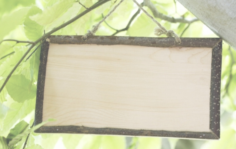 柏の葉キャンパス テイクアウトなび 駅周辺の飲食店マップ モリノハ もりのは