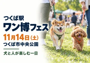 【つくば駅】第2回ワン博フェスは11月14日!つくば市中央公園に犬と人が集まる、ドッグランやしつけ教室ものアイキャッチ
