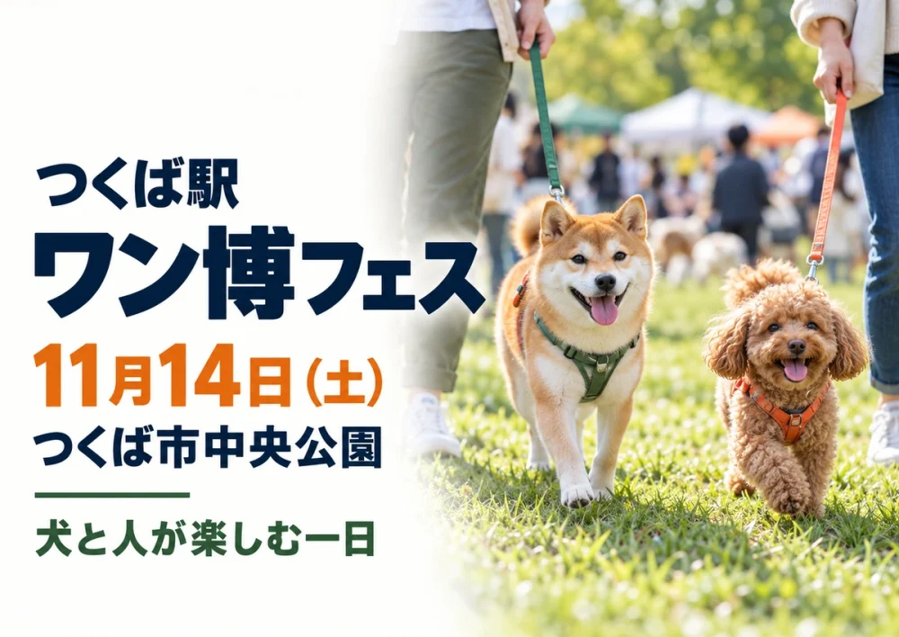 【つくば駅】第2回ワン博フェスは11月14日！つくば市中央公園に犬と人が集まる、ドッグランやしつけ教室ものアイキャッチ